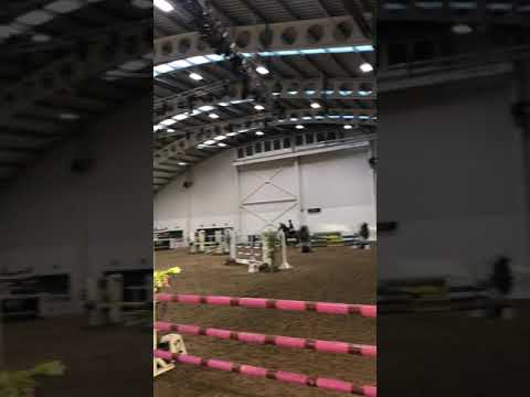 Ander 4 year old discovery