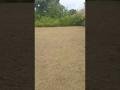 Lote en Condominio Campestre Tierra Linda – Turbaco, Bolívar