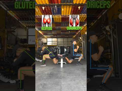 Sentadilla BÚLGARA 🍑 | Glúteos y Cuadriceps 🔥 #gymgirl #gymworkout #fitgirl #gymrat #gymbro #gym