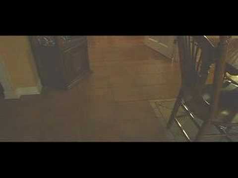 Polguin the Penguin (OFFICIAL VIDEO)