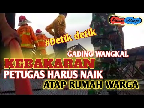 Video Detik – Detik Kebakaran Di Gading Probolinggo Video Detik – Detik Kebakaran Di Gading Probolinggo