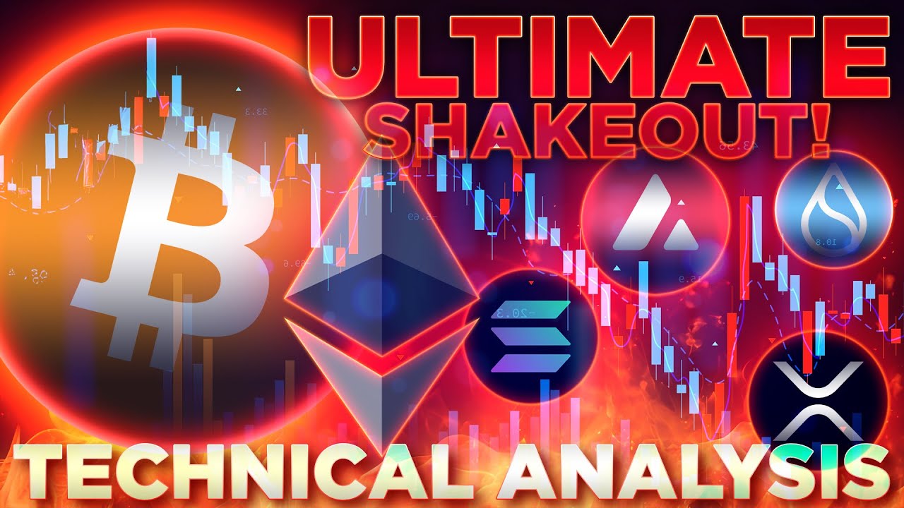 Ultimate Shakeout!🔥Crypto Technical Analysis🚀@TimWarrenTrades