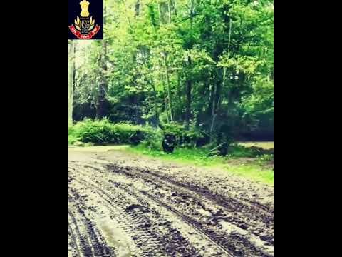 Live firing in border area !! Indian Army Jay Hind🇮🇳