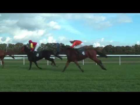 Ur-Krostitzer Aufgalopp