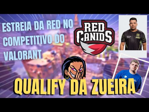 ESTREIA da RED CANIDS no QUALIFY - QUALIFY DA ZUEIRA