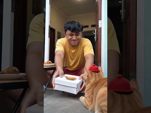 oyen suka makan tulang wkwk #funny #komedikuncir #komedi #cat #komedialayamin #videolucu #comedy