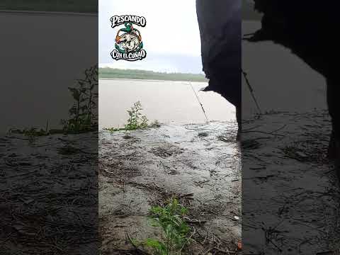 Pesca en el RIO SAN FRANCISCO Yuto Jujuy ni la lluvia nos para