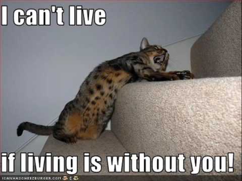 Without You - Khanh Nho ft. Phong Le