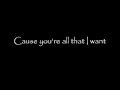 Skillet - Believe lyrics on screen
