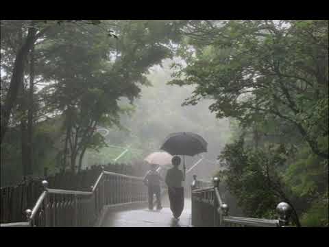 *free* indie rock + midwest emo + breakcore type beat