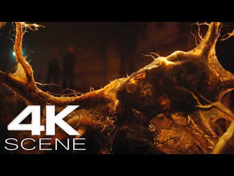 Contamination Nest and Hollow Men (2025) Fight Scene - The Gorge Movie Clip | 4K UHD