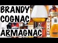 Cognac Brandy And Armagnac Alcohol 101