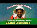 Caalaa Bultumee Oromo Ethiopian Music Goota Hedduu Dhalate