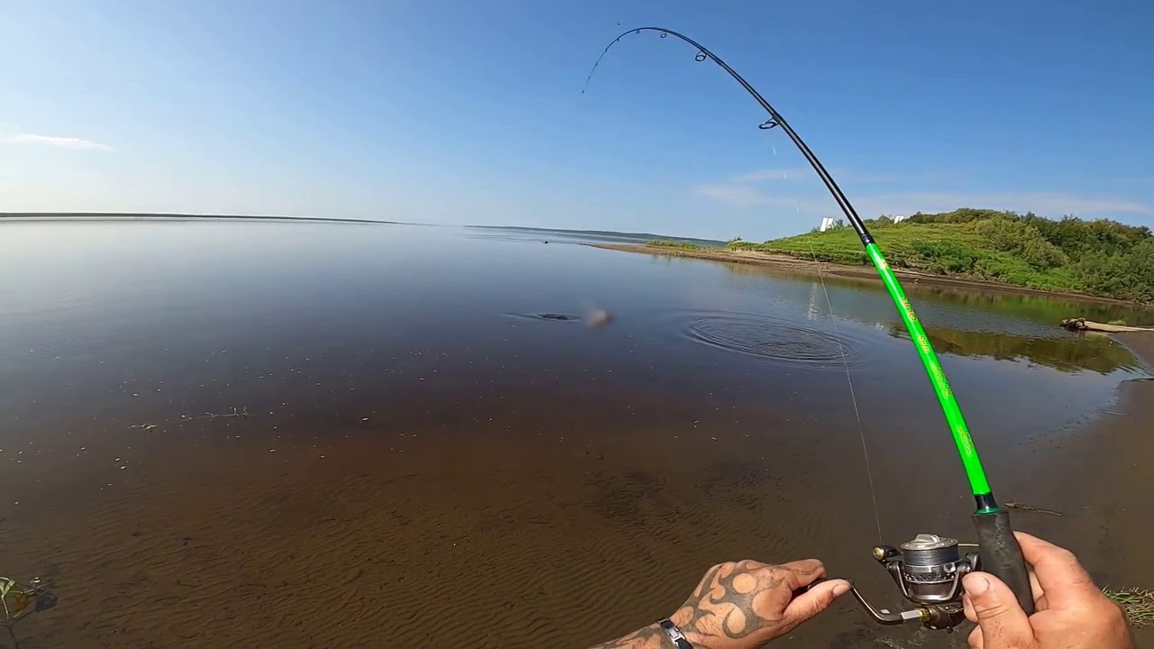 рыбалка на севере в июне