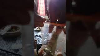 Download lagu JANCUK DANCOK mp3