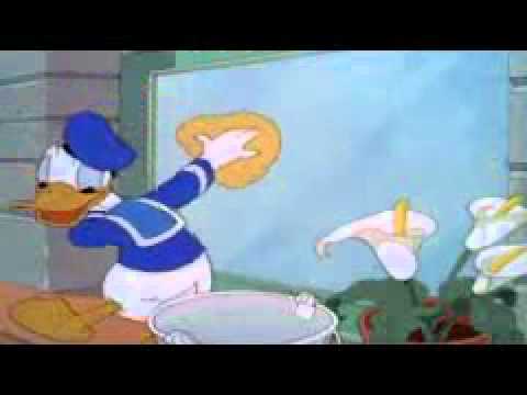 Donald Duck sfx - Window Cleaners.