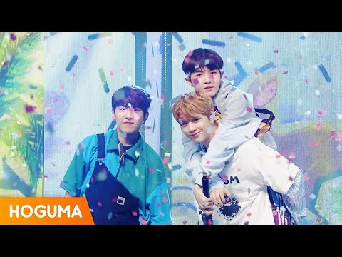 워너원 트리플포지션 (Wanna One Triple Position) '캥거루 (Kangaroo)' 교차편집 (Stage Mix)
