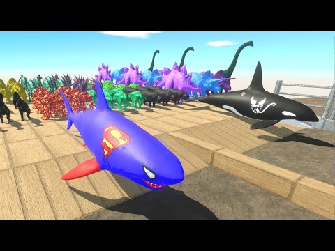 SUPERMAN SHARK VS VENOM ORCA - Who is Faster and Stronger? - Animal Revolt Battle Simulator