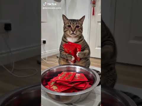 kucing sembunyiin thread tahun 2025