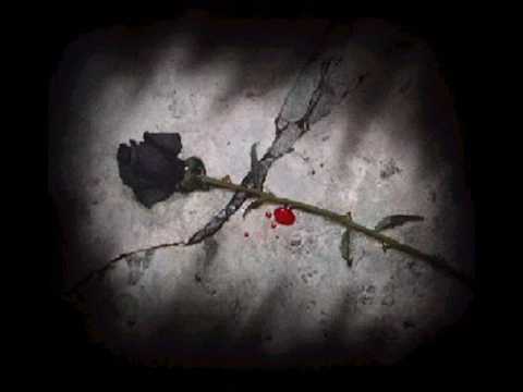 punx soundcheck - black rose feat. gene serene