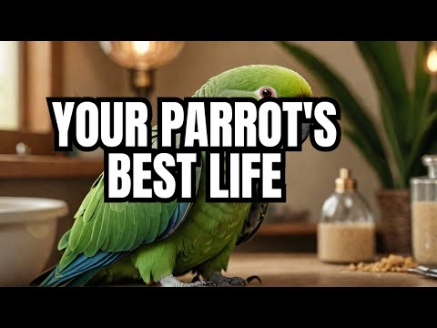 The Ultimate Alexandrine Parrot Care Guide