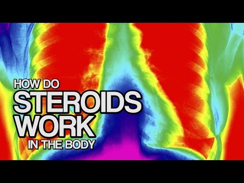 How STEROIDS Work in the Body in 60 seconds!