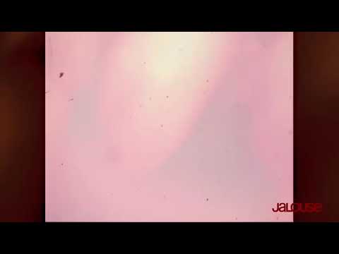 190924 Z.TAO x Jalouse Magazine Making Photoshoot