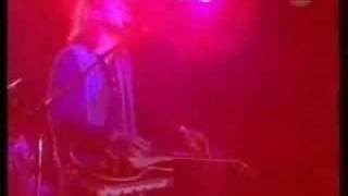 Jeff Healey Band - I Got A Line On You