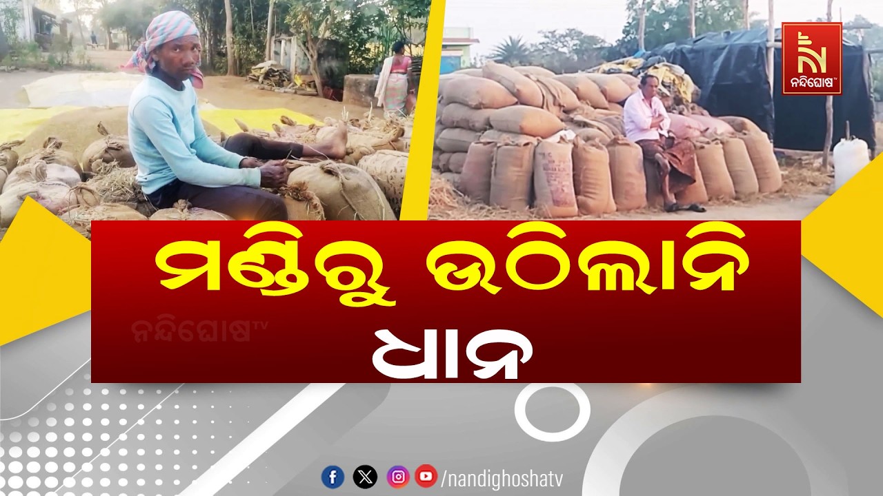 ସରିଆସିଲାଣି ଡେଡଲାଇନ, ଏଯାଏଁ ମଣ୍ଡିରୁ ଉଠୁନି ଧାନ | NandighoshaTV