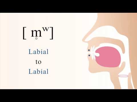 [ m̥ʷ ]  unvoiced labialized bilabial  nasal stop