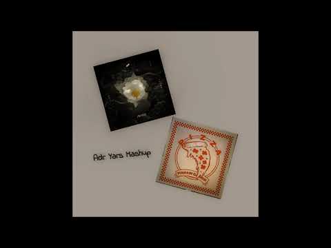 Martin Garrix - Pizza vs Avicii - Without You (Adrian Y. Mashup)