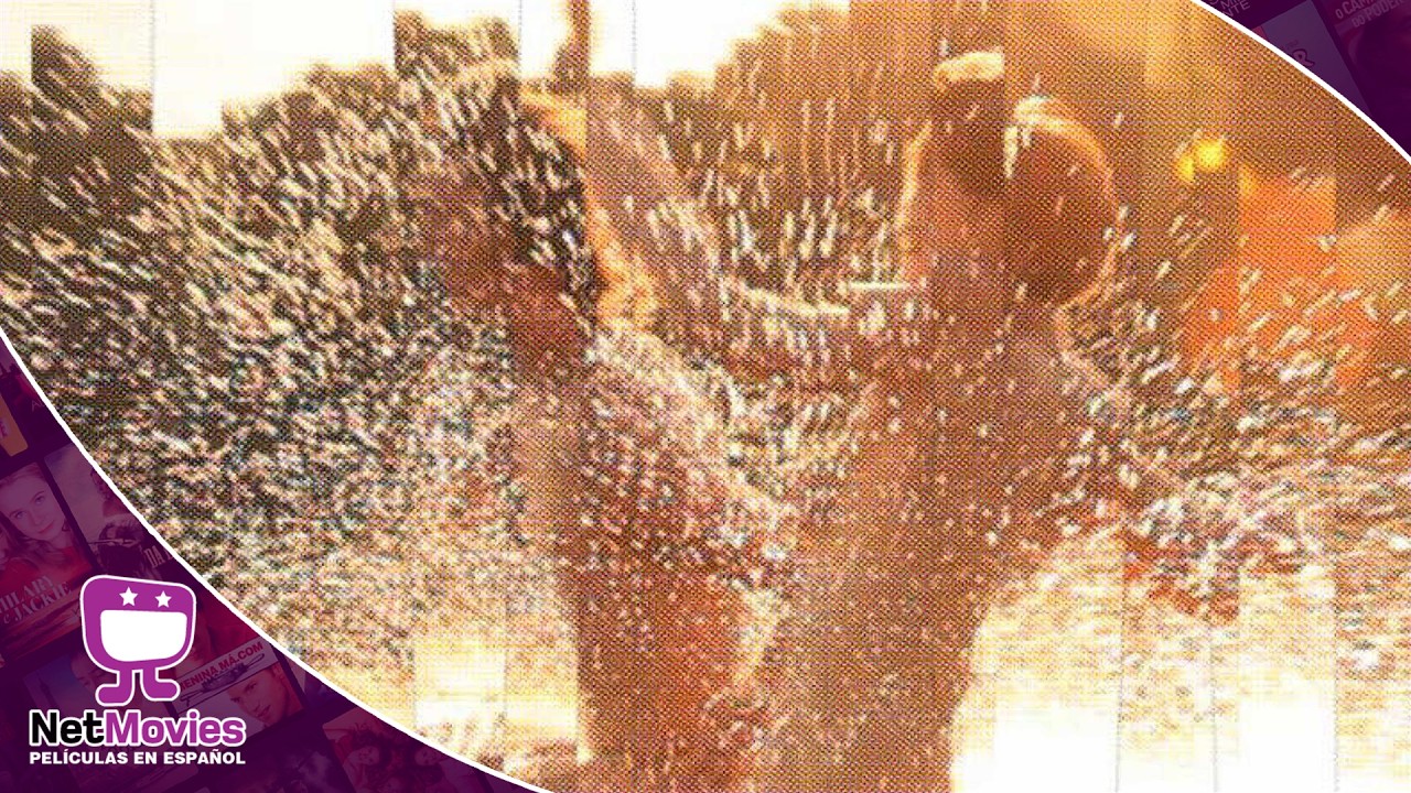 Amor por Partes 🟣 PELÍCULA COMPLETA DE COMEDIA 🟣 NetMovies - Películas En Español