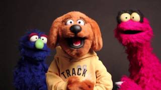 Pop Music ~ R. Stevie Moore (2011)