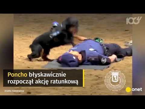 Jak zwiększyć długość i objętość członka Co zrobić, chłopaki z małymi członkami