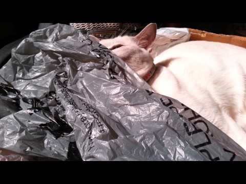 I toats woak up like this