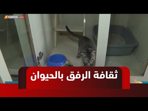 فيديو | السليمانية.. تربية الحيوانات الأليفة هواية تنمو بثقافة الرفق بالحيوان