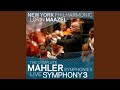 Symphony No. 3 in D Minor: VI. Slow. Calm. Deeply felt. (Live)