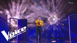 Whitney Houston - I have nothing - Doryan Ben | The Voice 2022 | Demi-finale