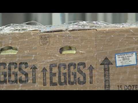 Second Harvest Food Bank receives large shipment of eggs as ...
