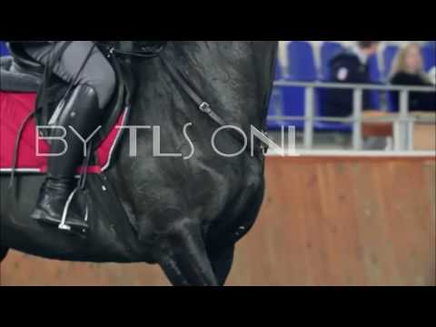 BESPOKE RIDING BOOTS 44 uk us