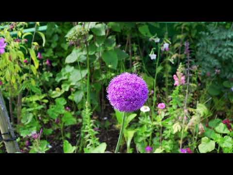 Vernon. Giverny. Normandy. France(4k.2022)