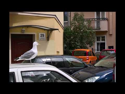 M.A.N.D.Y.  Booka Shade feat. Laurie Anderson - "O Superman" (Remaster)