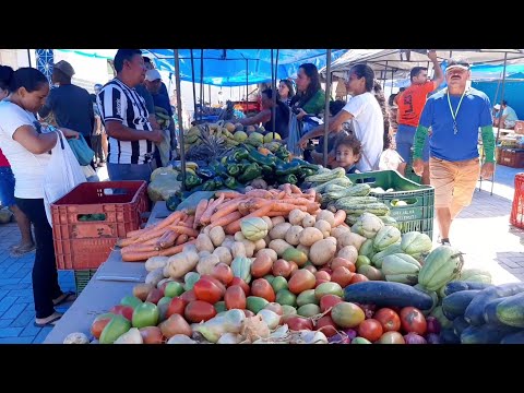 FEIRA LIVRE NA CIDADE DE CARNAUBAL CEARÁ DIA 26/04/2024