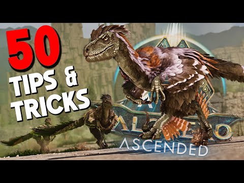 50 советов и хитростей, которые вам НУЖНО знать для VALGUERO | ARK: Survival Ascended