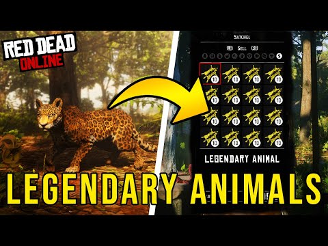 How To Find Legendary Animals Red Dead Online (RDR2 Online)