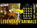 How To Find Legendary Animals Red Dead Online RDR2 Online