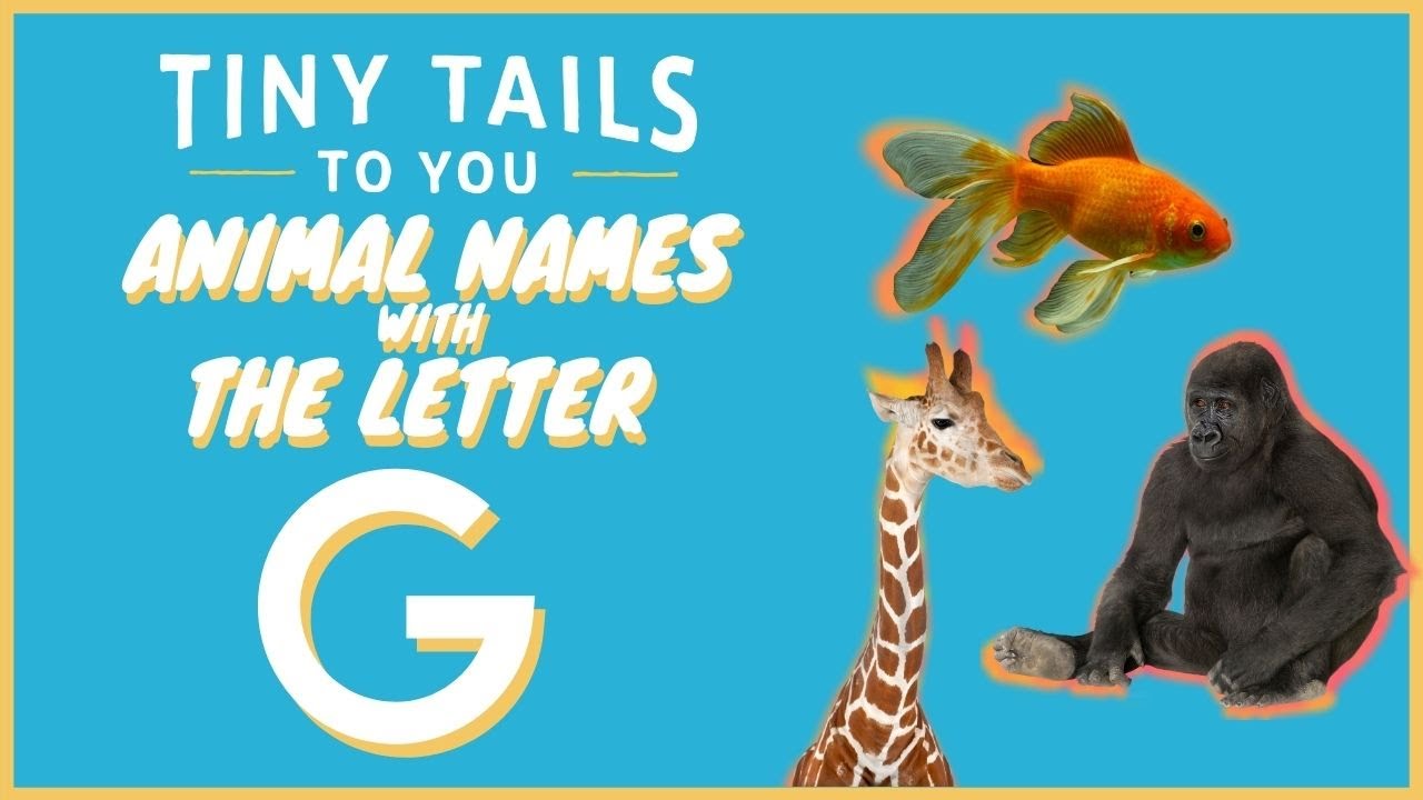 What animals start with the letter G?
