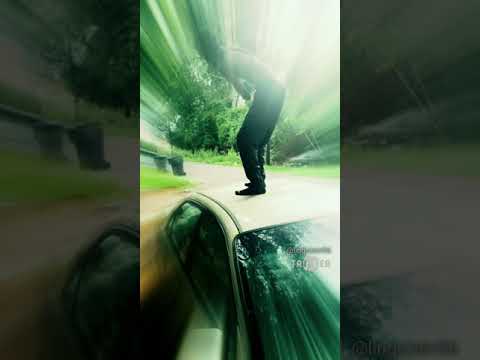 Lingo Tain - Lingo Babies x 2xTaliBan