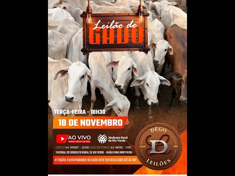 LEILAO DE GADO  18 - 11 - 2025 - Sindicato Rural de Rio Verde - Dêgo Leilões