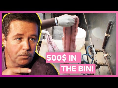 Worker Throws Away $500 Worth of Fish Every Day! | Mystery Diners